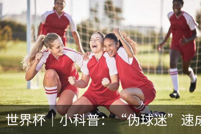 世界杯｜小科普：“伪球迷”速成手册