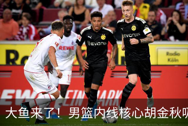 大鱼来了！男篮内线核心胡金秋吸引多队报价，广东队可能放走焦泊乔？